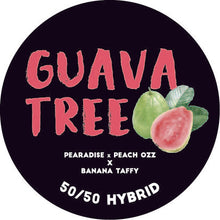 Load image into Gallery viewer, Guava Tree Cold Cure Live Rosin Badder