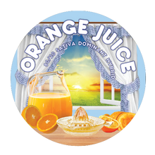 Load image into Gallery viewer, Orange Juice
